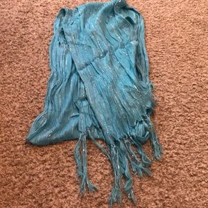 Blue and Silver Scarf